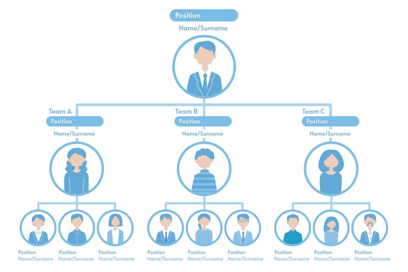 Accountant for Startup